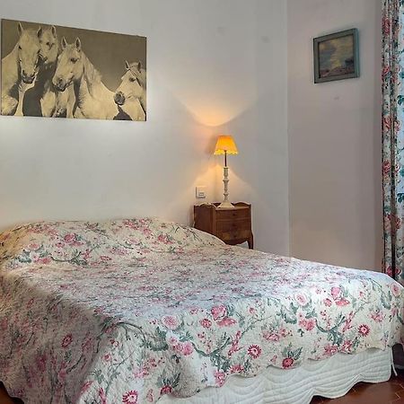 Mas De Charme En Pleine Camargue Villa Saint-Gilles  Exteriör bild