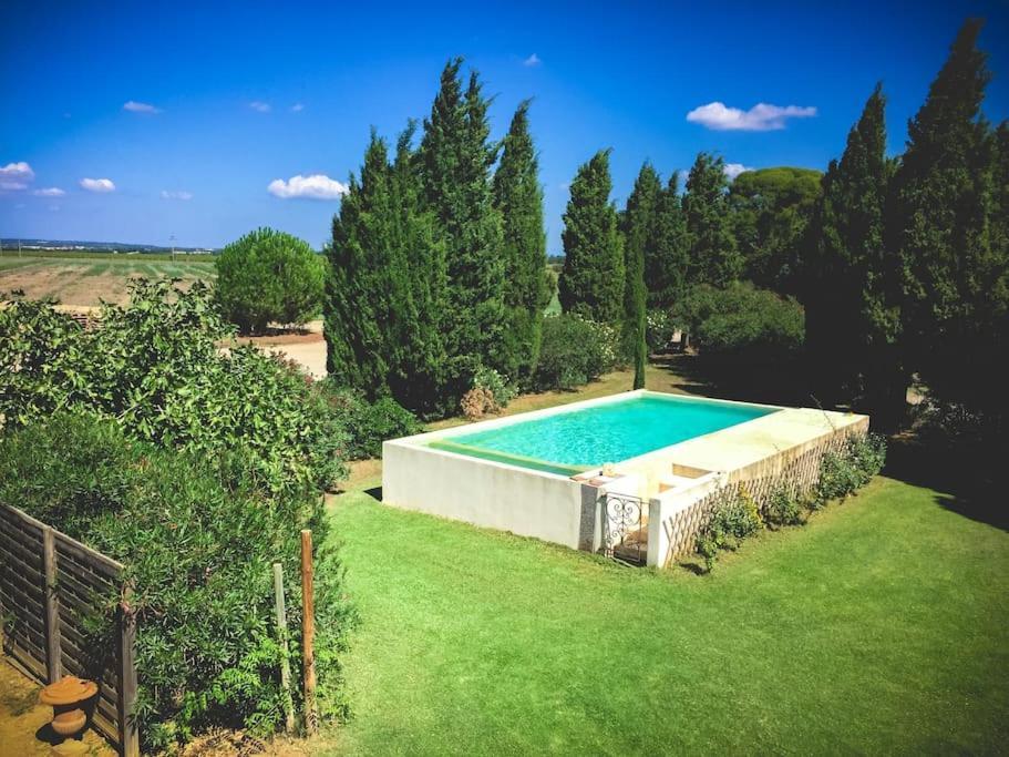 Mas De Charme En Pleine Camargue Villa Saint-Gilles  Exteriör bild